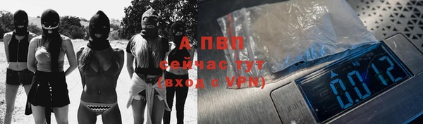 крисы Бородино