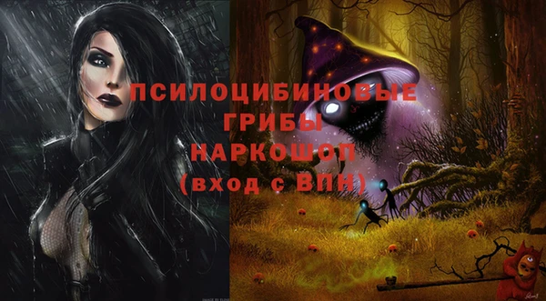 ешки Верея